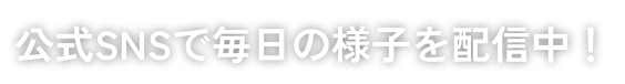公式SNSで毎日の様子を配信中！